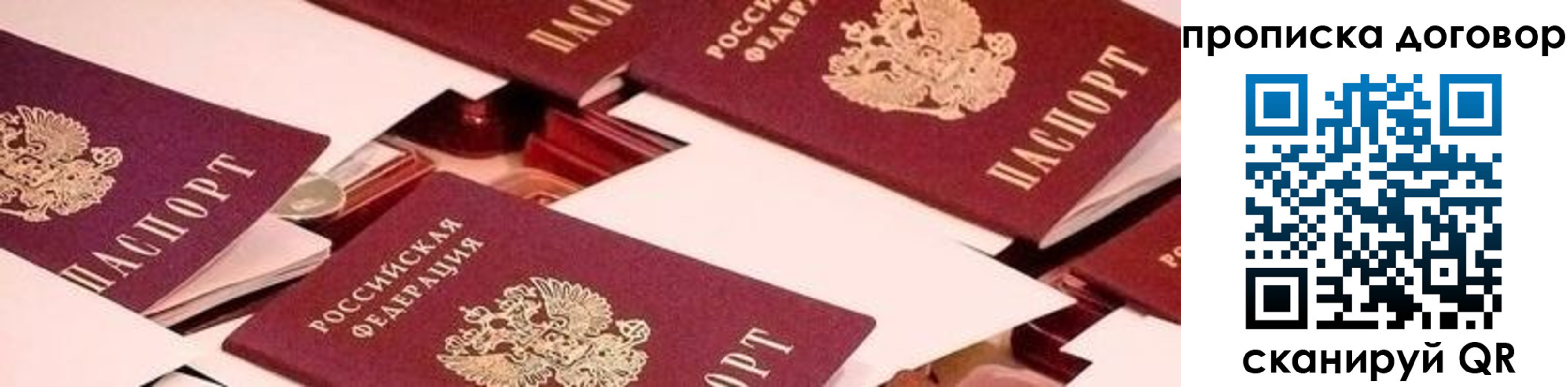 прописка 2025 в Солнечногорске